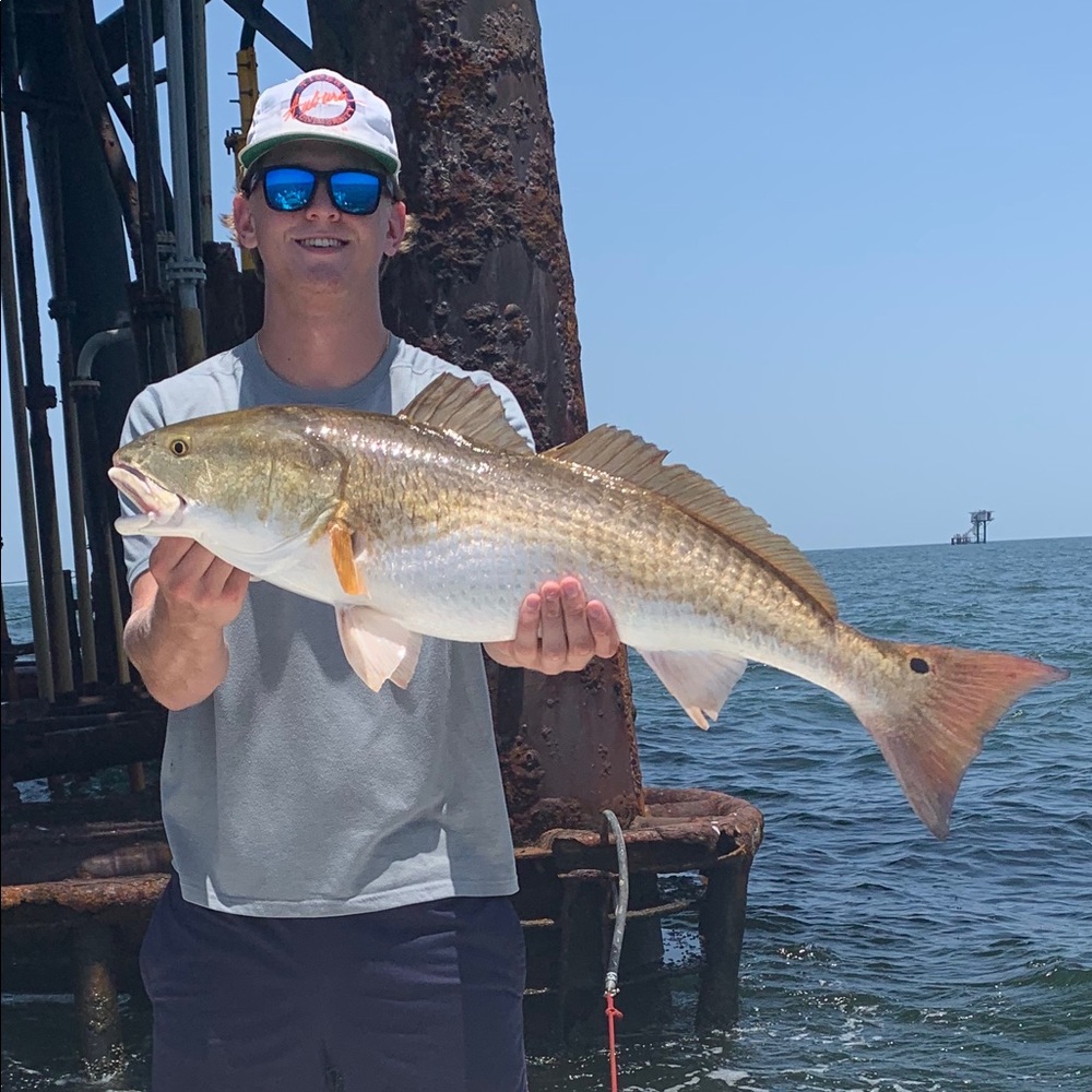 Meet your Posher, Max